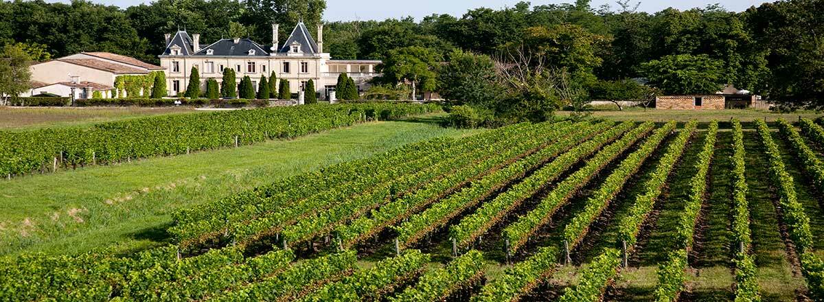 Chateau Meyre Avensan Exterior foto