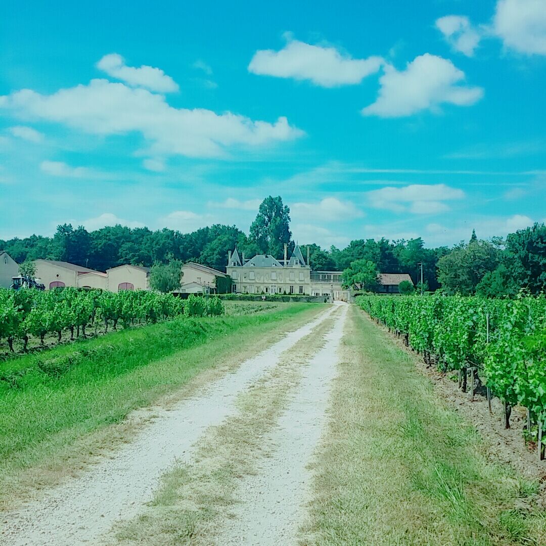 Chateau Meyre Avensan Exterior foto